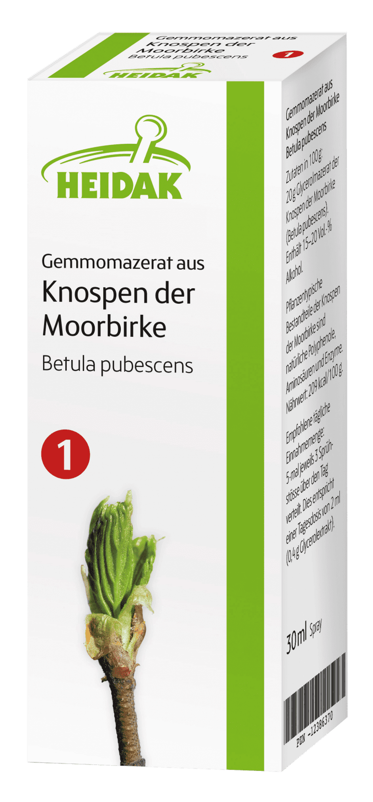 01_Gemmo_Moorbirke_RGB