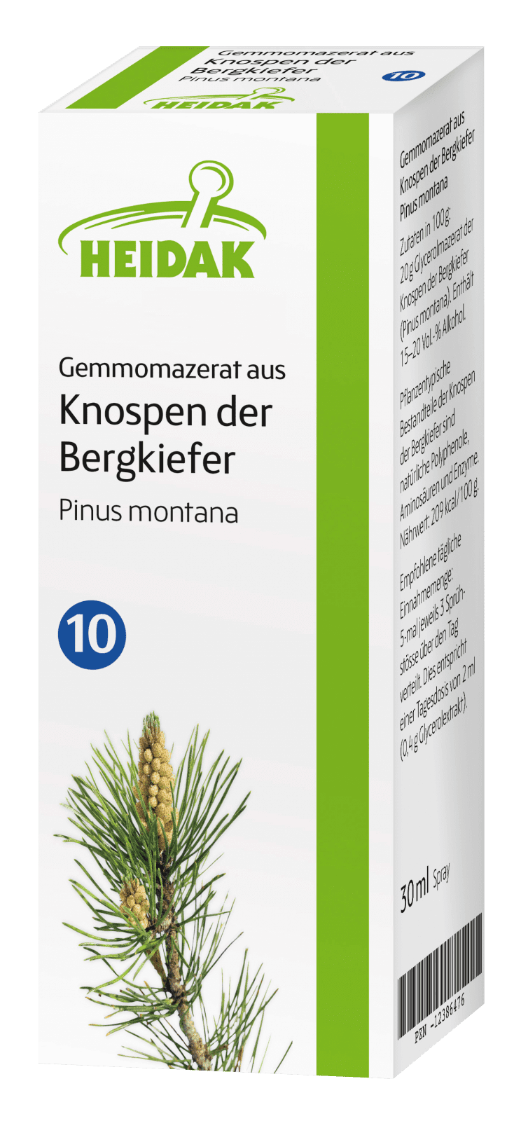 10_Gemmo_Bergkiefer_RGB