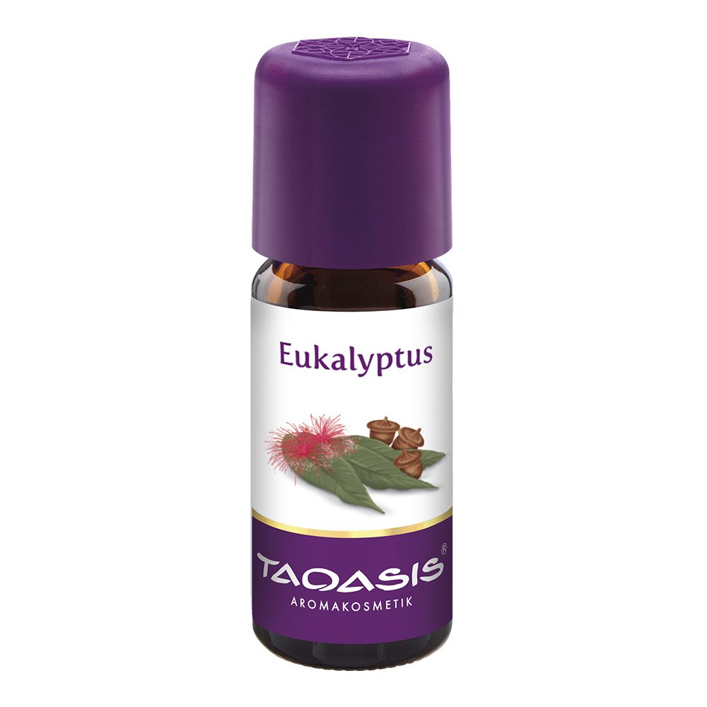 Eukalyptus_00729557