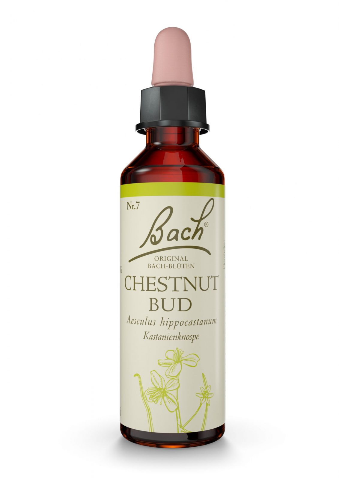 BR_20ml_Dropper_DE_ChestnutBud_01