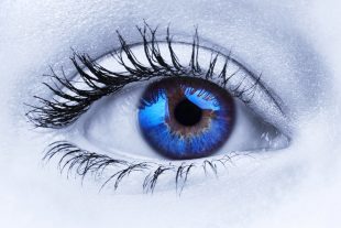 Augen