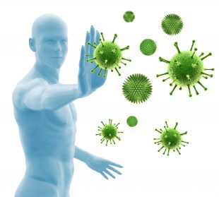 Immunsystem