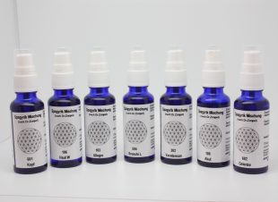 Spag. Mischungen Apotheke Bühlau